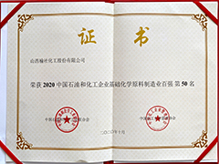 2020年基礎化學原料制造業(yè)百強企業(yè)